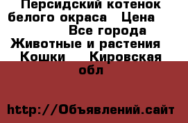 Персидский котенок белого окраса › Цена ­ 35 000 - Все города Животные и растения » Кошки   . Кировская обл.